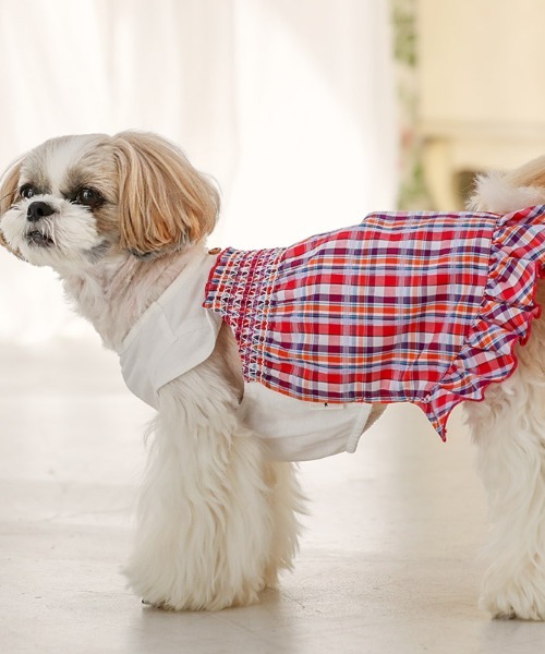 犬と生活犬と生活 いぬとせいかつ 定番のお歳暮 サマーチェックワンピクール 犬服 ドッグウェア 高品質の激安