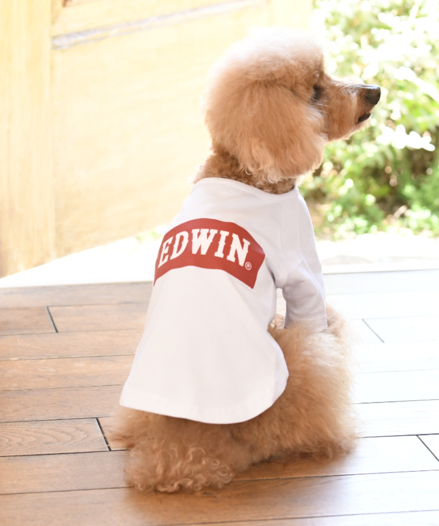 EDWINEDWIN エドウイン 至高 ベーシックロゴT ドッグウェア 超激得SALE 犬服