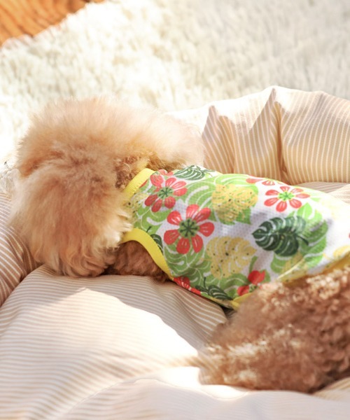 犬と生活 いぬとせいかつ バグガードアロハタンク 犬服 ドッグウェア Hydeparkcats Org