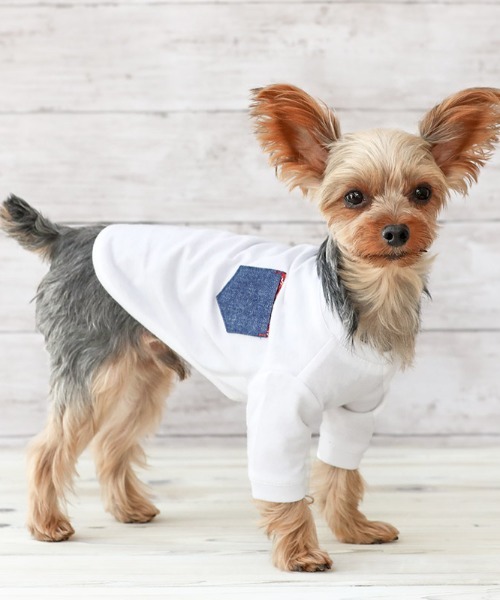 犬と生活犬と生活 いぬとせいかつ クレンゼＴシャツ 抗菌 65％以上節約 ランキング上位のプレゼント ドッグウェア 抗ウィルス機能 犬服