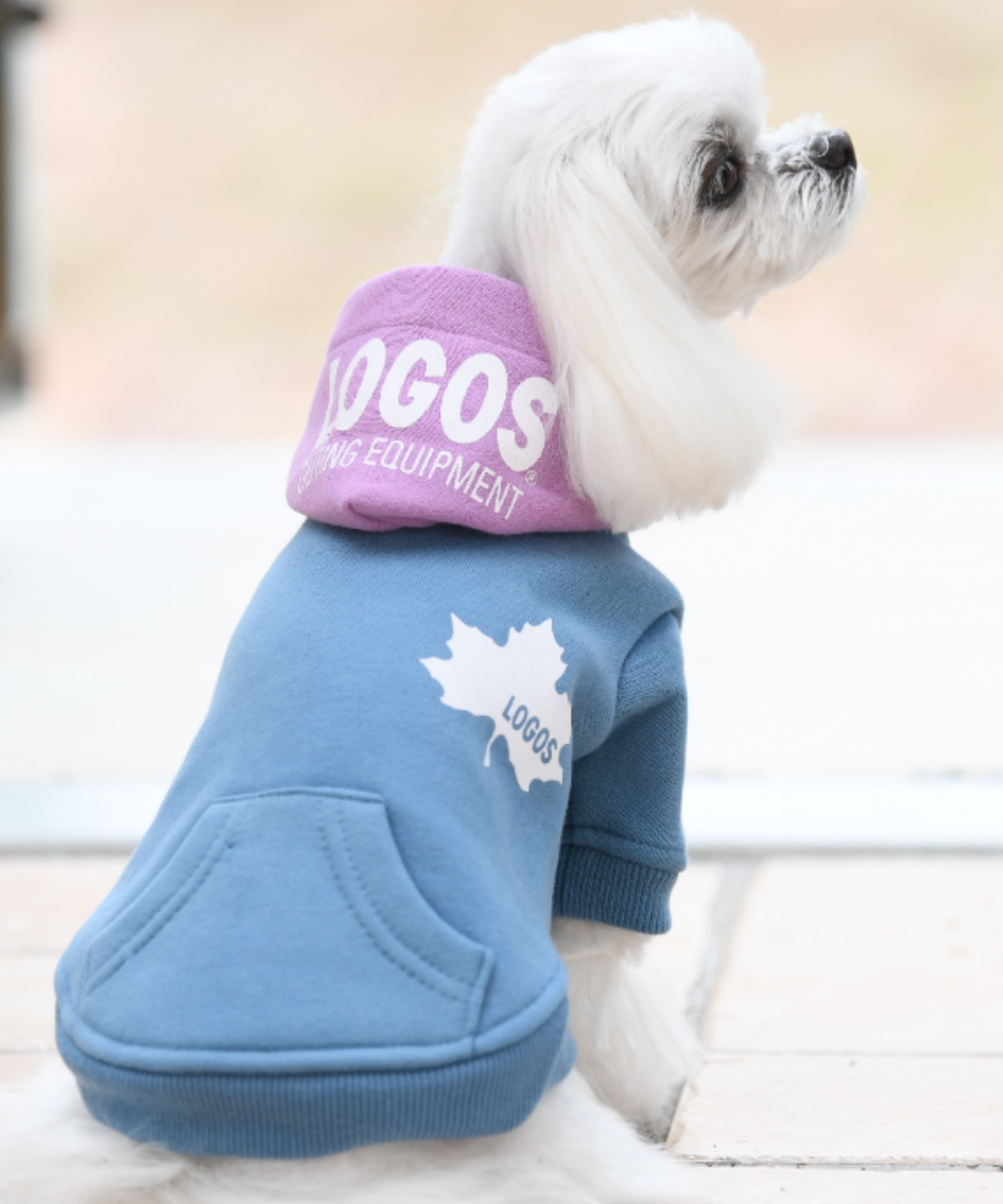 LOGOSLOGOS 最大83%OFFクーポン ロゴス 配色フーディー 犬服 特別オファー ドッグウェア
