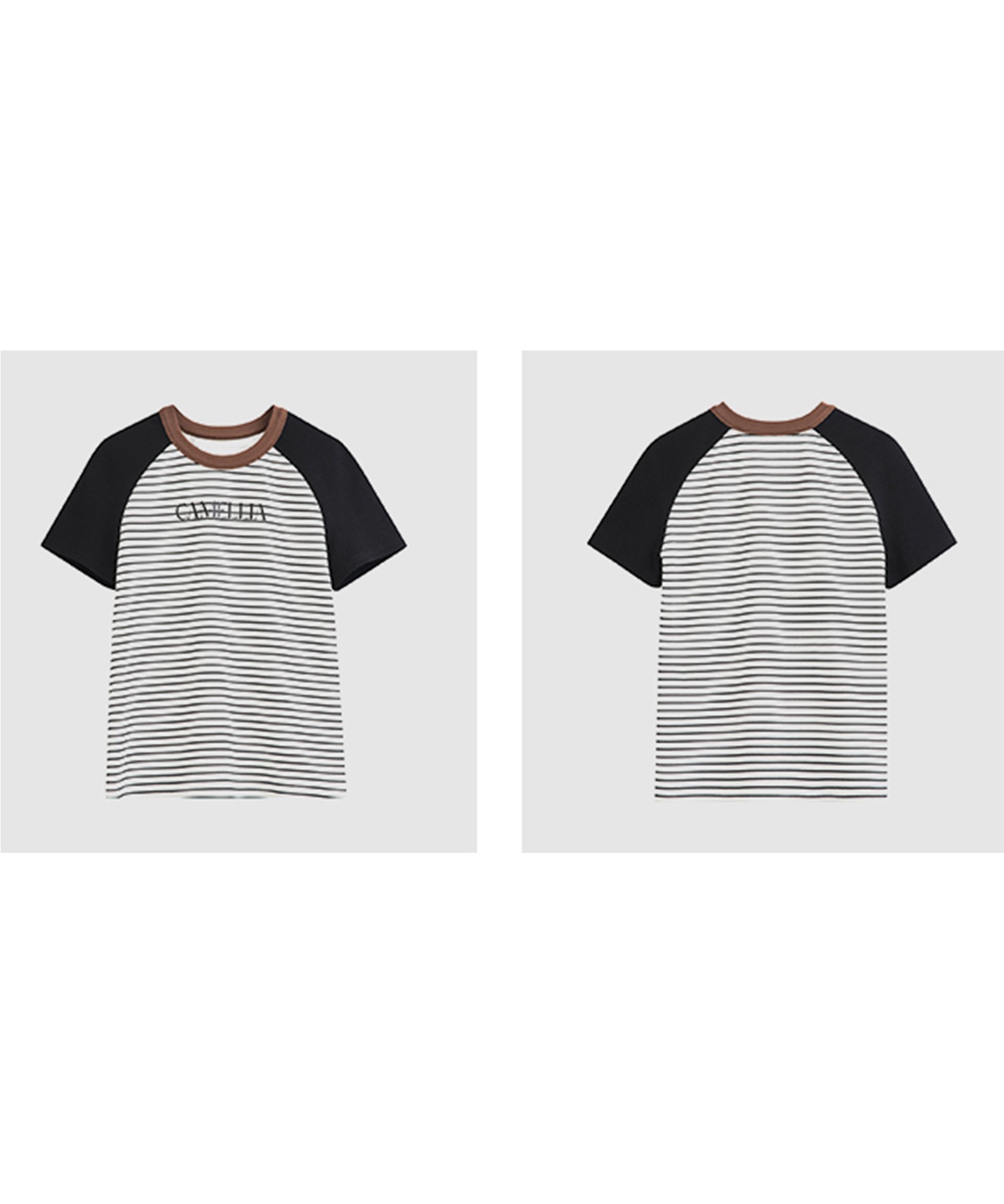 半袖 ラグランスリーブ ボーダーTシャツ FC24S100【Fano Studios