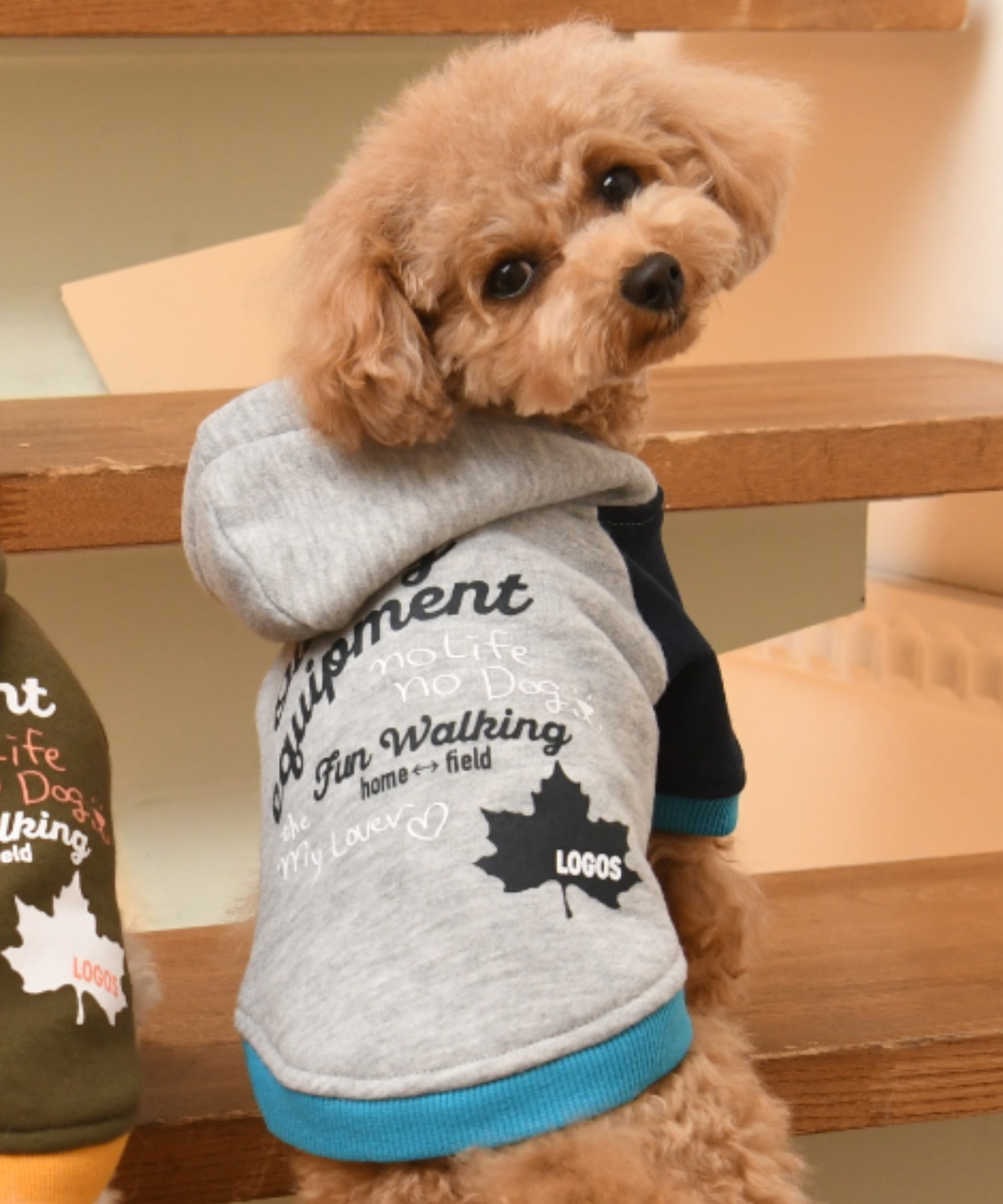 Logos ロゴス クレイジーパーカー 犬服 ドッグウェア