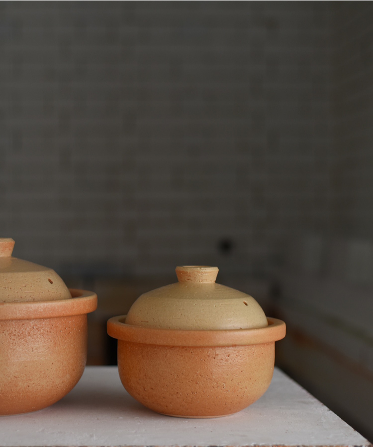 Homeland（ホームランド）信楽焼 米炊き釜3~4合 T.Cオリジナル