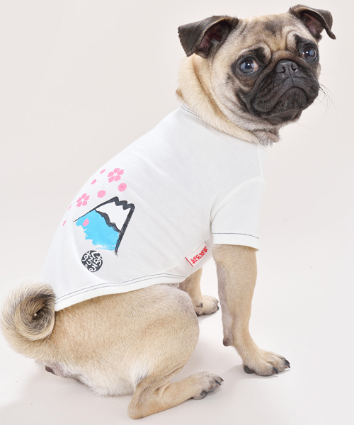 和風あるくろぉす和風あるくろぉす 桜とふじさん風1 2 3号 安いそれに目立つ ドッグウェア 犬服 素晴らしい価格