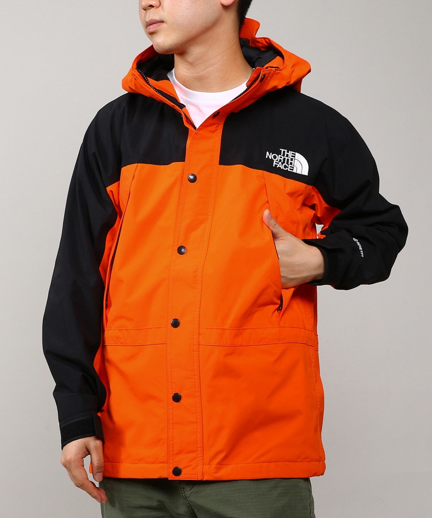 THE NORTH 数量限定価格 FACETHE 上品なスタイル FACE Mountain NP11834 Light Jacket