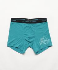 ELECTRIC LADY BOXER BRIEF