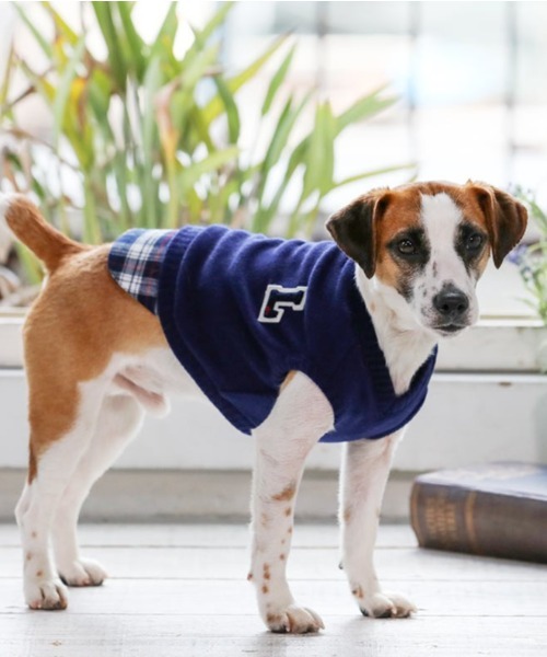 犬と生活犬と生活 いぬとせいかつ ニットベスト XS ドッグウェア 円高還元 1号〜3号 激安通販販売 犬服