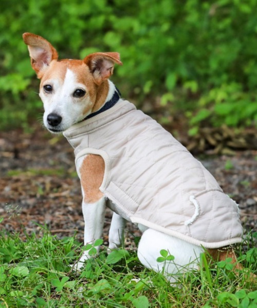 犬と生活 いぬとせいかつ キルティングイージーコート 1号 4号 犬