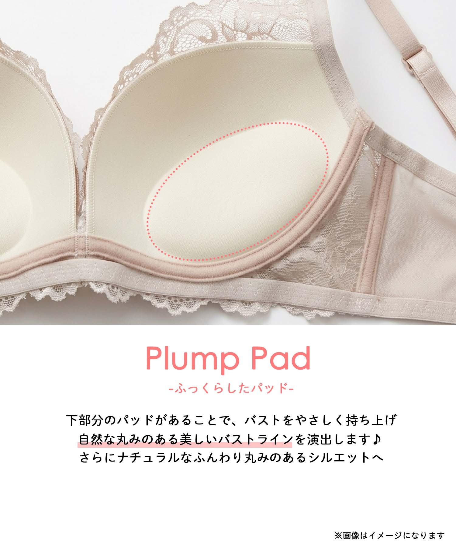 ※画像はイメージになります