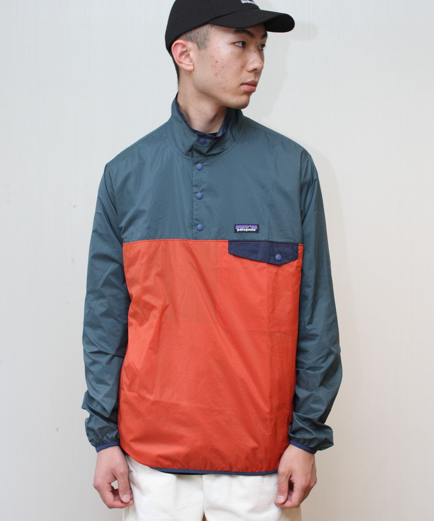 Patagonia パタゴニア フーディニスナップt Houdini Snap T Patagonia Steps Online Store ステップス オンラインストア