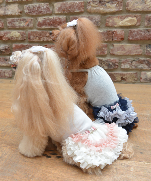 GlamourismGlamourism グラマーイズム 贈呈 Celiaセリア 女の子向けプレゼント集結 犬服 ドッグウェア
