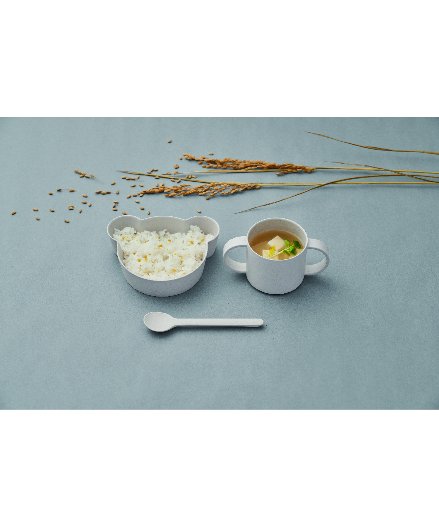 Bio 大割引 Kids Dish ミニ ギフトボックスセット