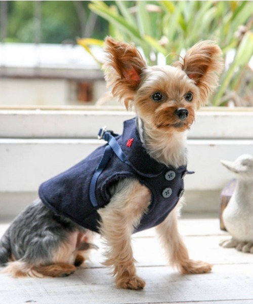 犬と生活 いぬとせいかつ ボディーハーネス ロング マリンｐコート 1号 2