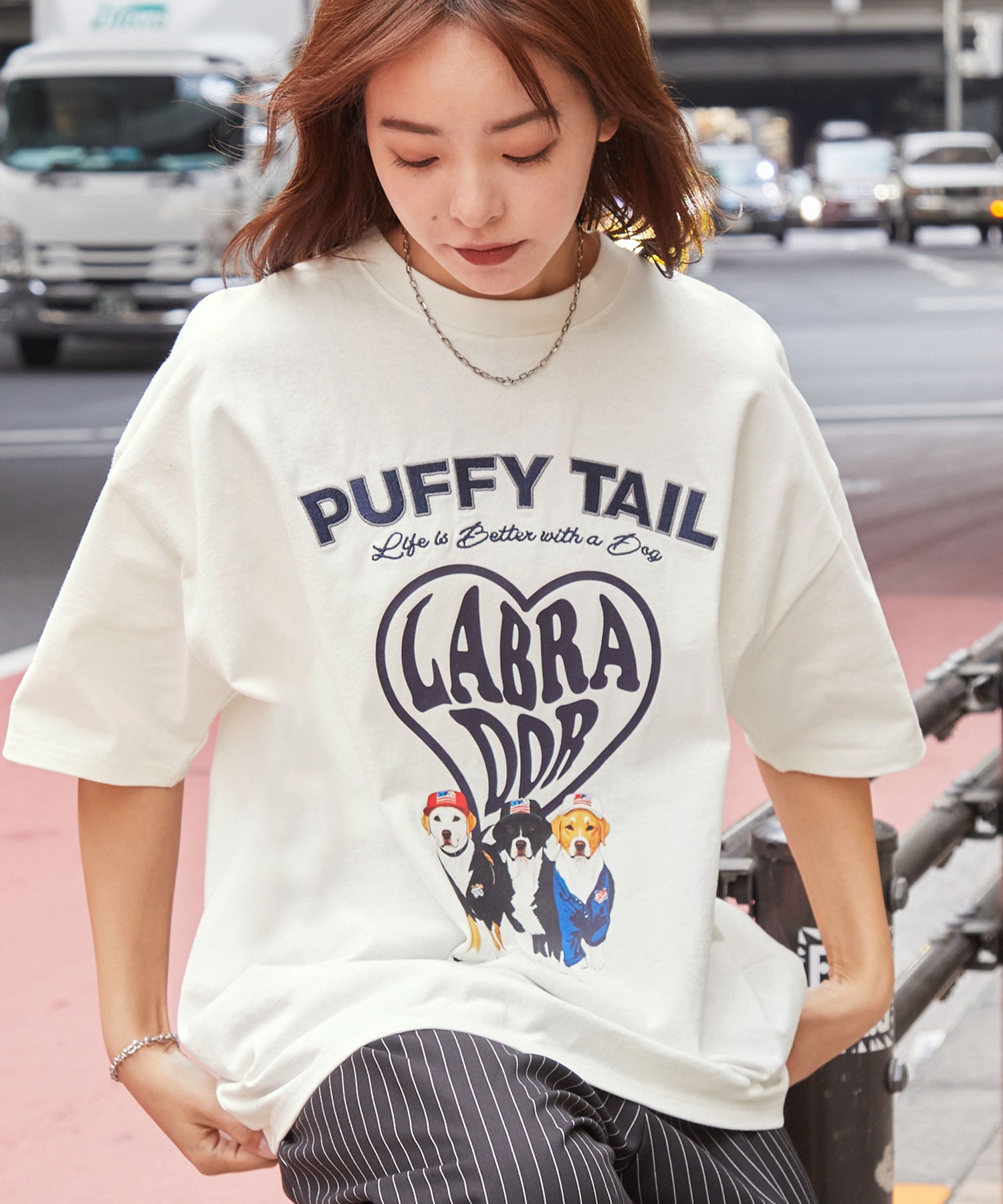 Labrador Retriever/ラブラドールレトリーバー 別注 カレッジロゴ刺繍