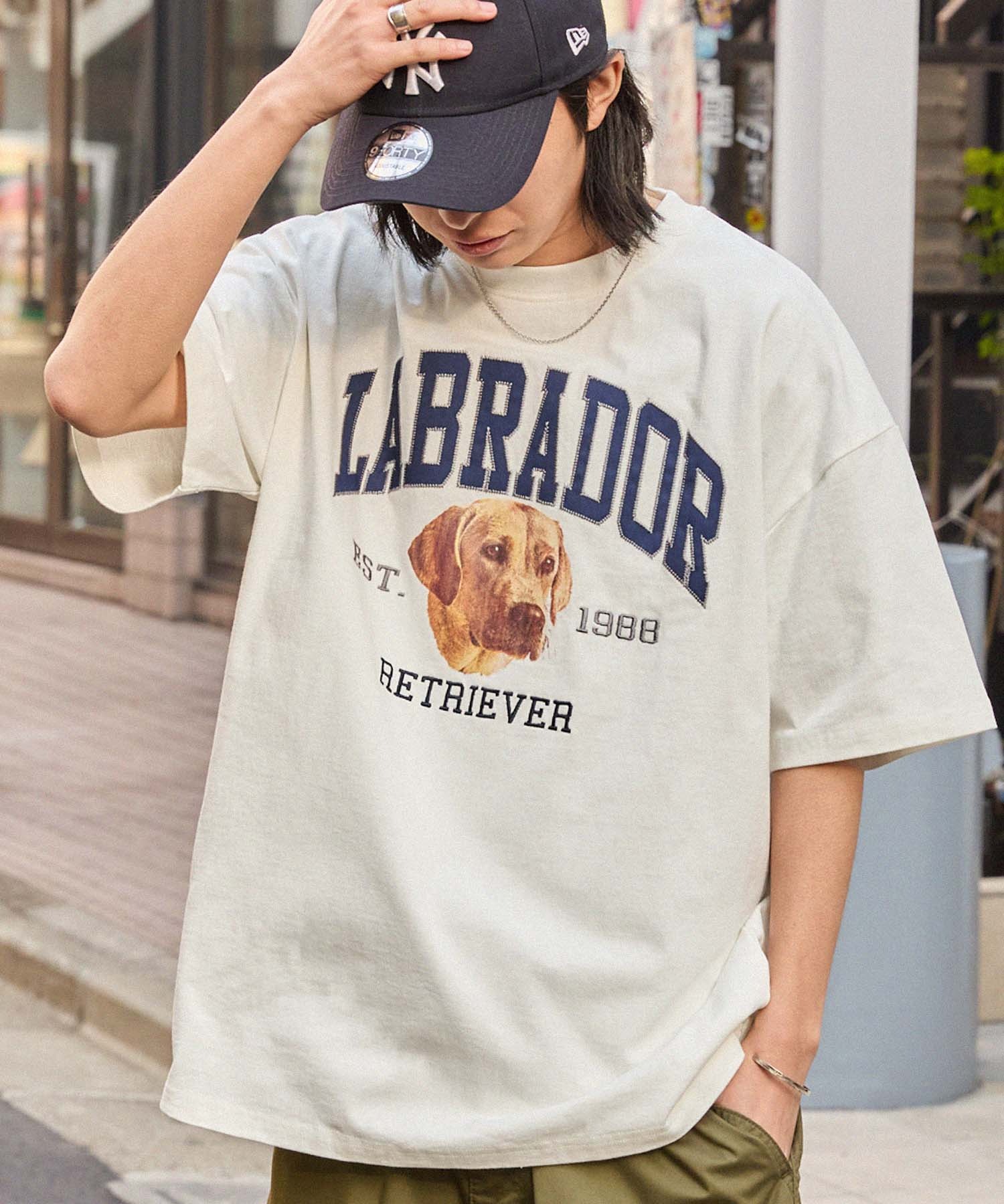 Labrador Retriever/ラブラドールレトリーバー 別注 カレッジロゴ刺繍 ビッグシルエット半袖Tシャツ
