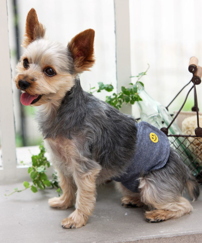 犬と生活 いぬとせいかつ マナーベルト オーガニック 犬服 最安値 ドッグウェア