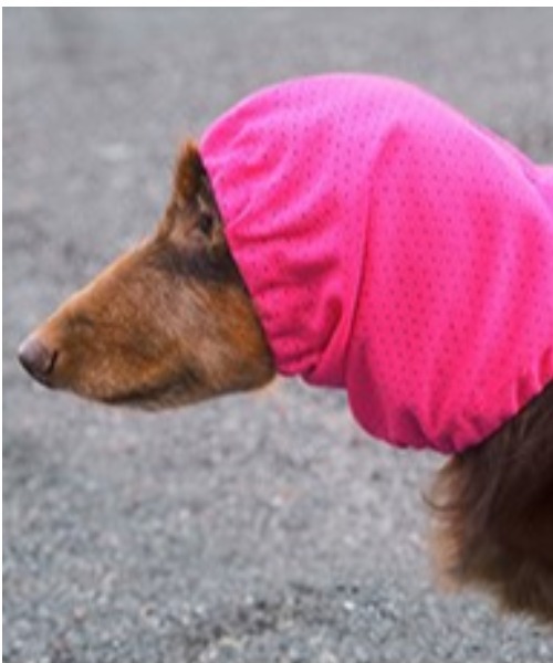 犬と生活 いぬとせいかつ 公式ショップ 高撥水雨の日スヌード 犬服 ドッグウェア