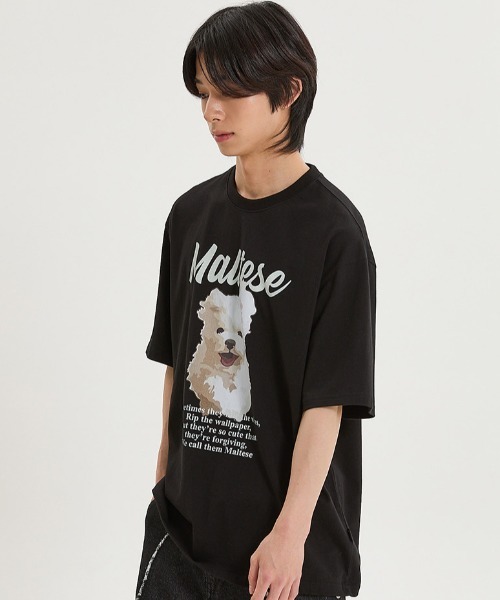 ☆韓国の人気☆【Bellialeu】☆Logo cotton shorts☆ Logo cotton shorts - BELLIALEU