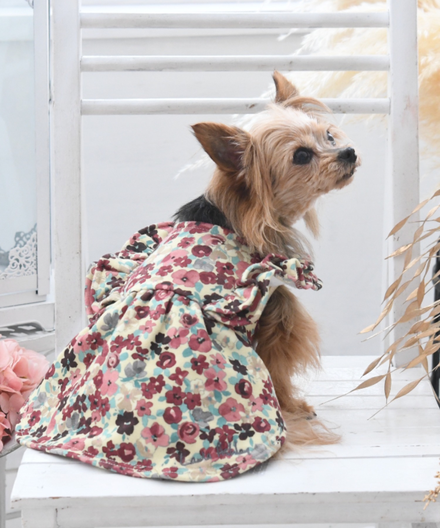 LAURA ASHLEYLAURA 大特価 ASHLEY ローラアシュレイ 新発売の ショルダーフリルワンピース 犬服 ドッグウェア