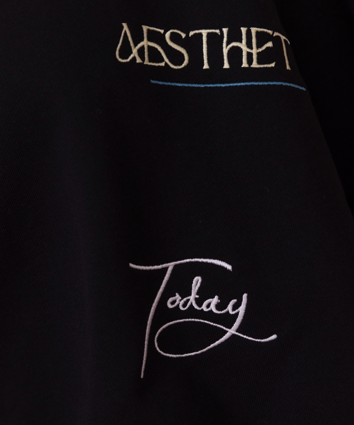 本物 テキストエンブロ裏毛プルオーバー Eimee Law エイミーロウ