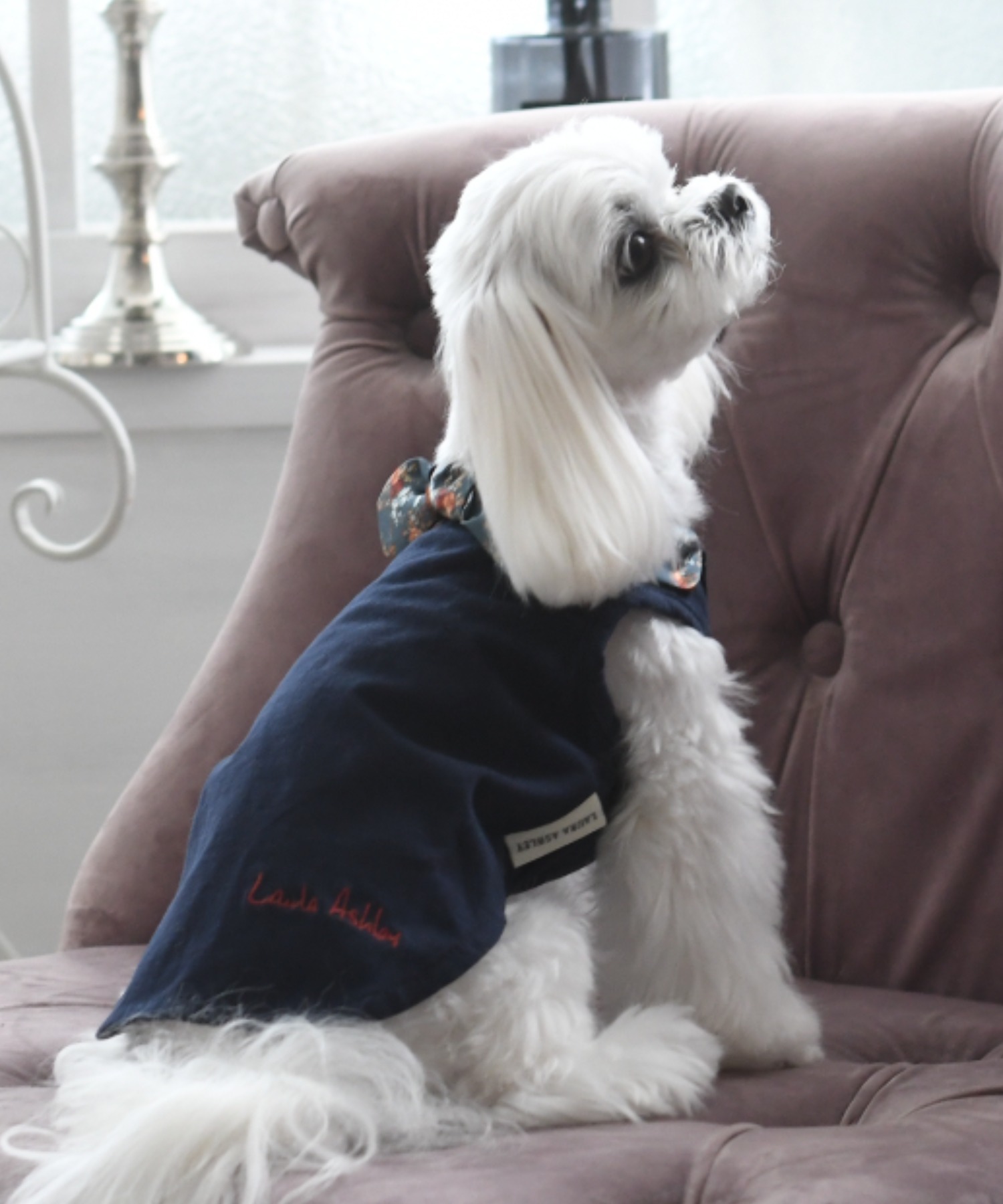 LAURA ASHLEYLAURA ASHLEY ローラアシュレイ プリントスカーフTシャツ 55％以上節約 犬服 ドッグウェア 毎日激安特売で 営業中です