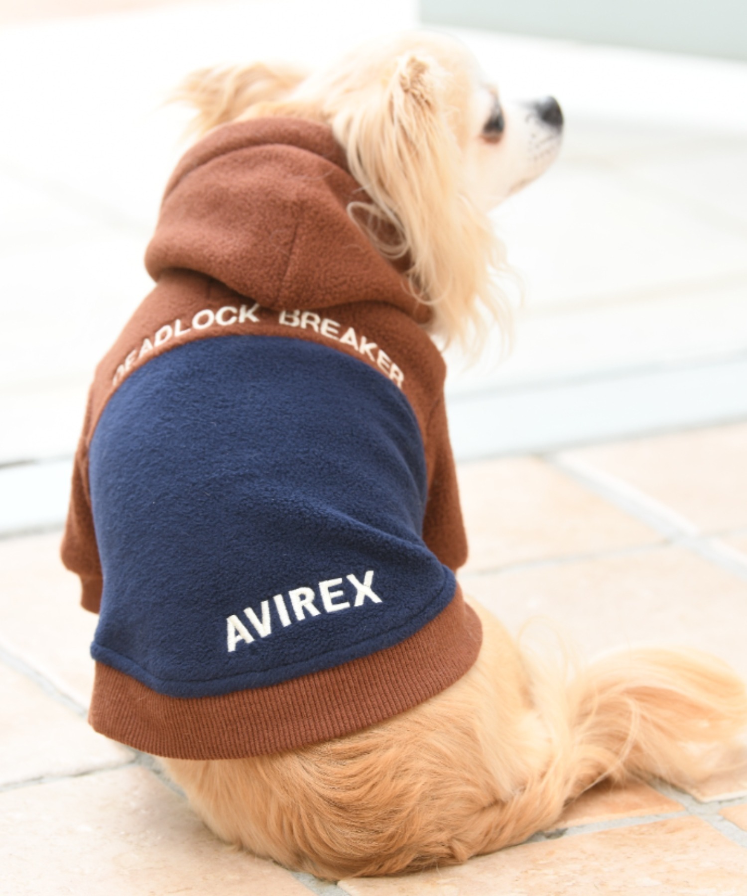 AVIREXAVIREX アヴィレックス ２トーンパーカー ドッグウェア 最大44%OFFクーポン 【85%OFF!】 犬服