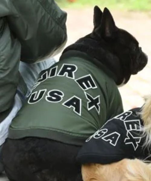 1周年記念イベントが AVIREXAVIREX アヴィレックス ＭＡ−１ ドッグウェア ロゴ 新作揃え 犬服