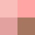 W02 DRY PEACH BLOSSOM