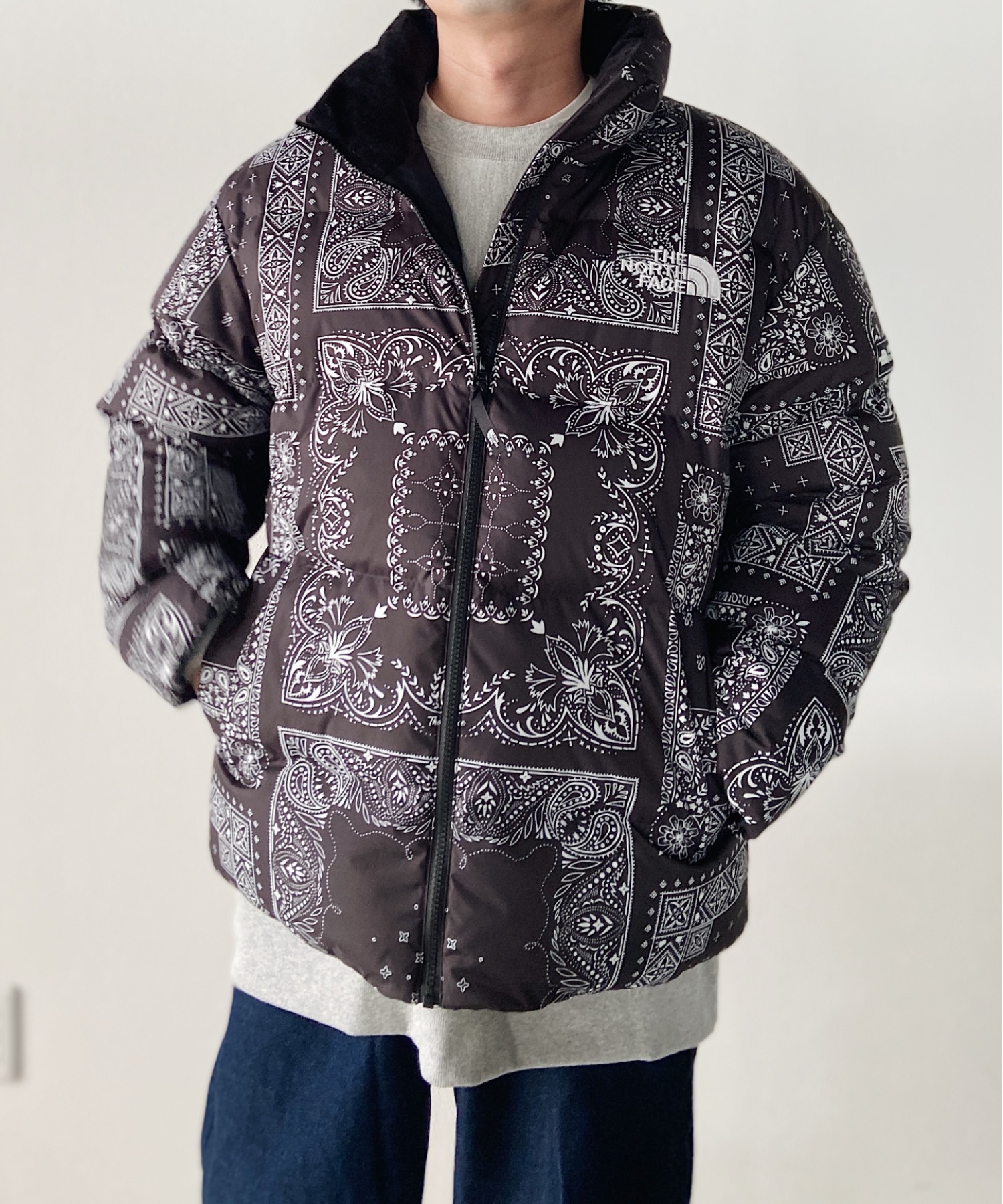 ディズニーコレクション ノースフェイスNOVELTY LOFTY DOWN JACKET