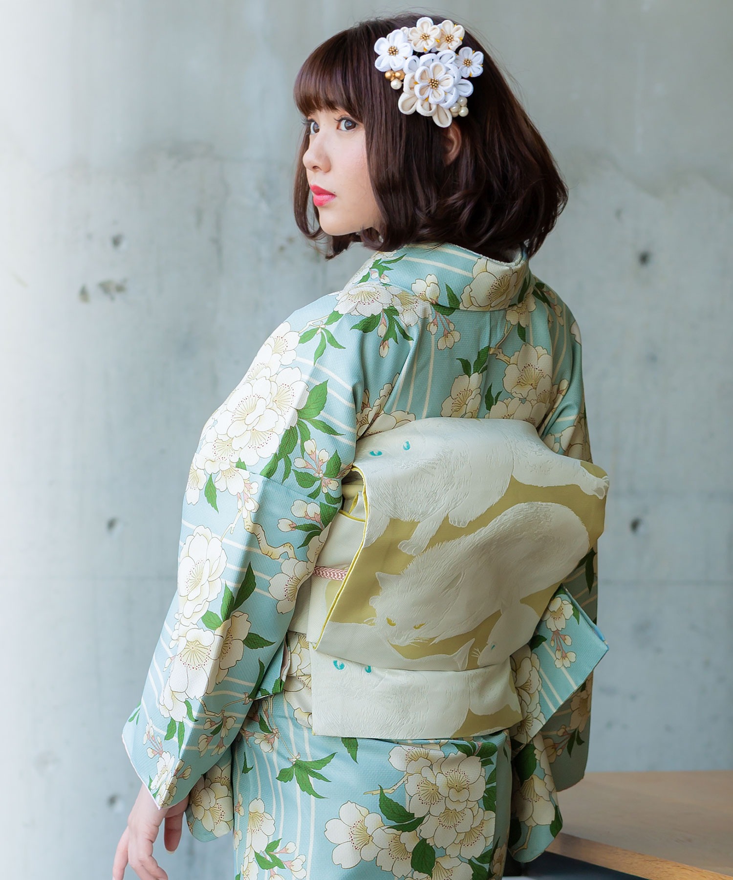 京袋帯 日向の白猫