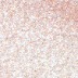 Snow Prism Jewelry