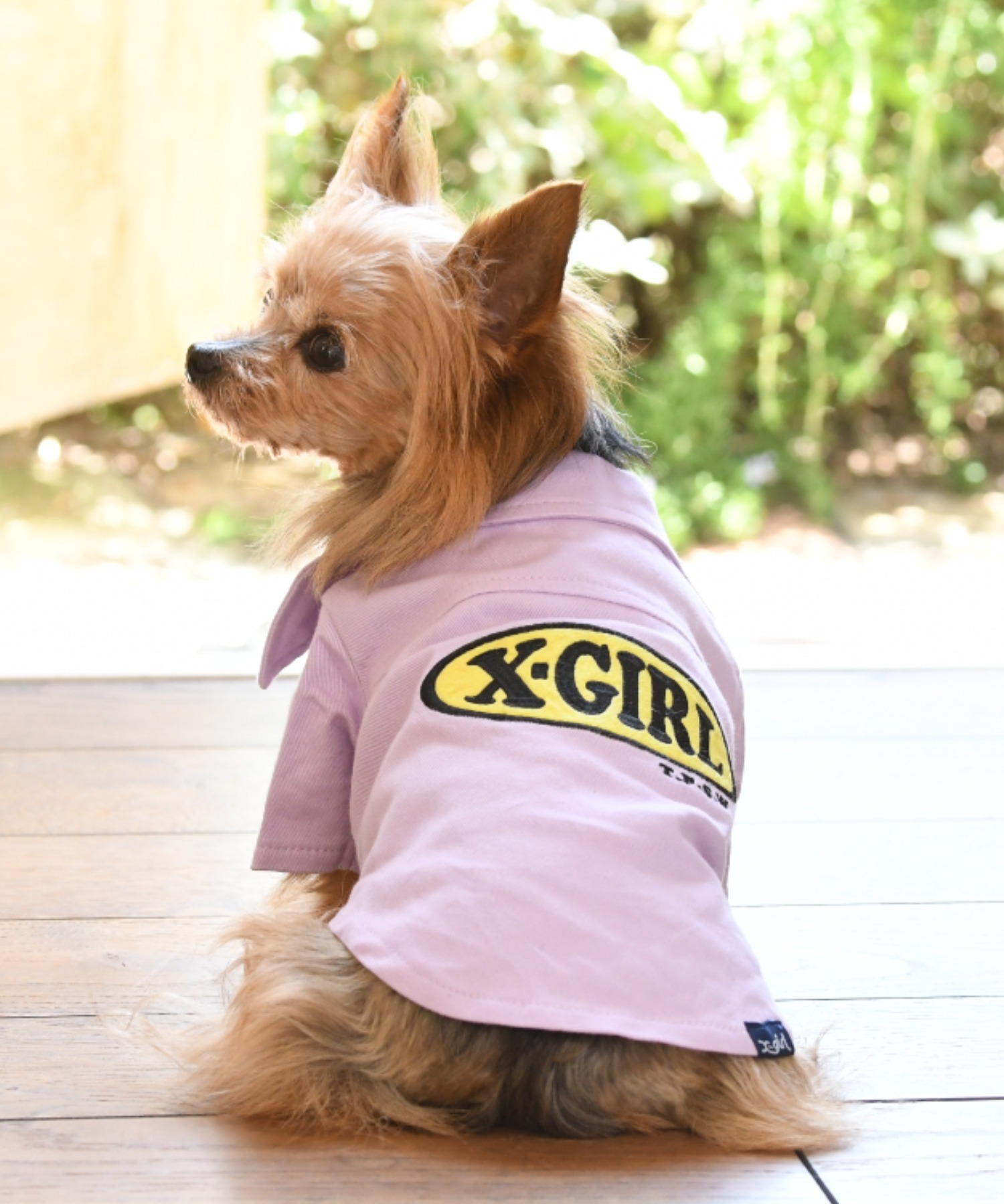 X-girlX-GIRL エックスガール オープンカラーシャツ 犬服 ドッグウェア