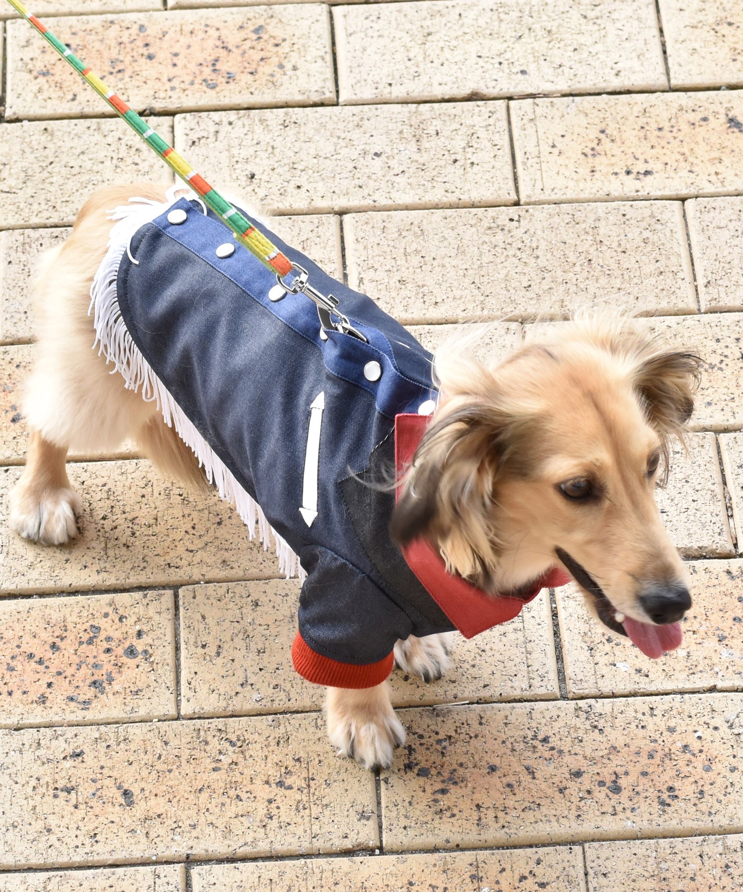ウエスタンシャツ ドッグウェア 犬 服 21年レディースファッション福袋特集