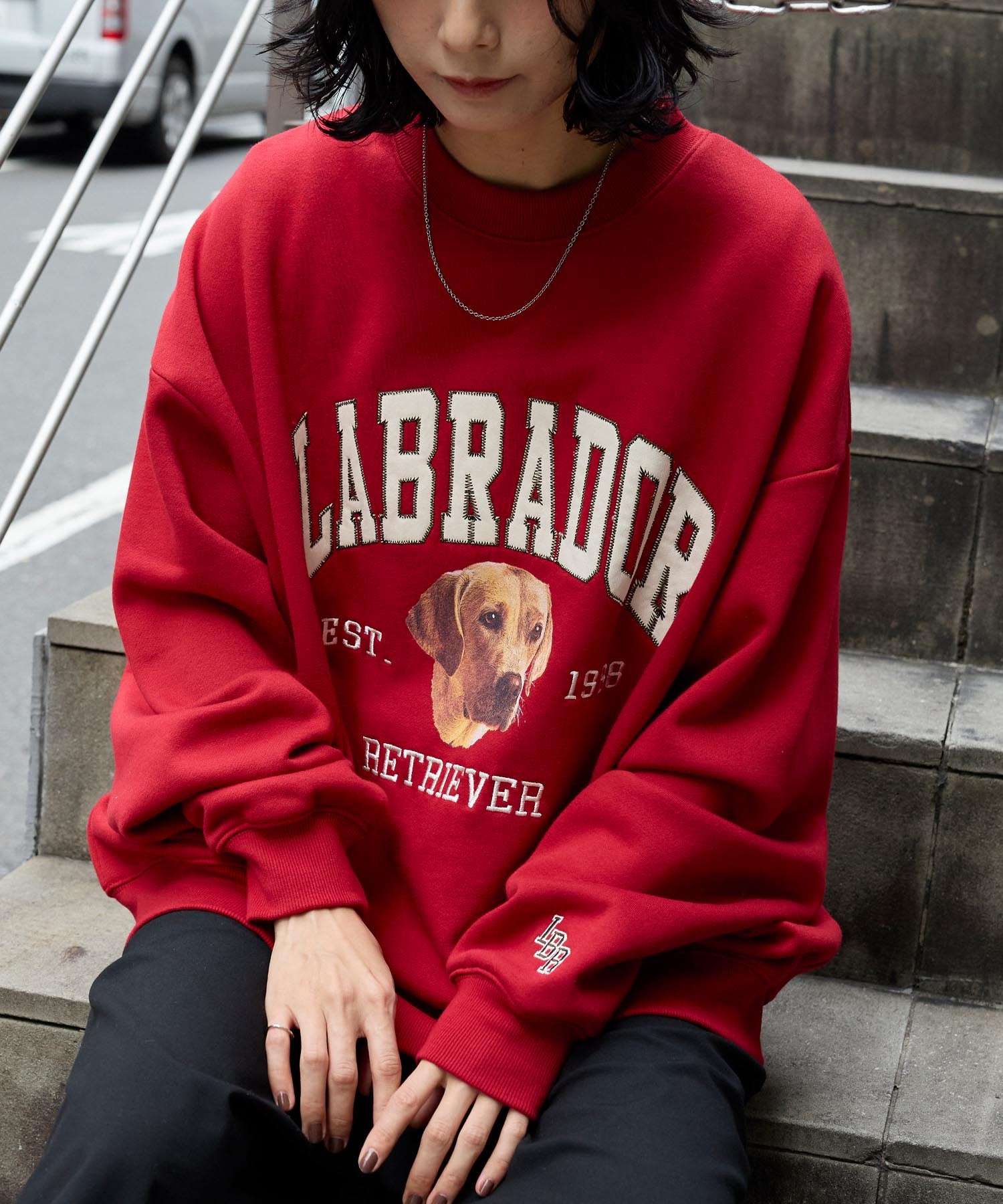 Labrador Retriever/ラブラドールレトリーバー 別注 カレッジロゴ刺繍