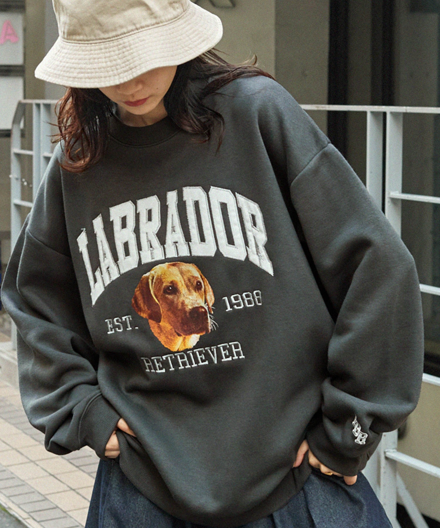 Labrador Retriever/ラブラドールレトリーバー 別注 カレッジロゴ刺繍 ビッグシルエット プルオーバースウェット
