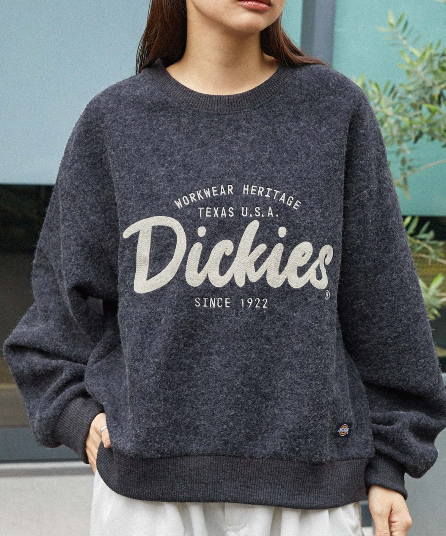 Dickies / ディッキーズ ブランドロゴ オーバーサイズ クルーネック ニットソー プルオーバー /ルーズフィット