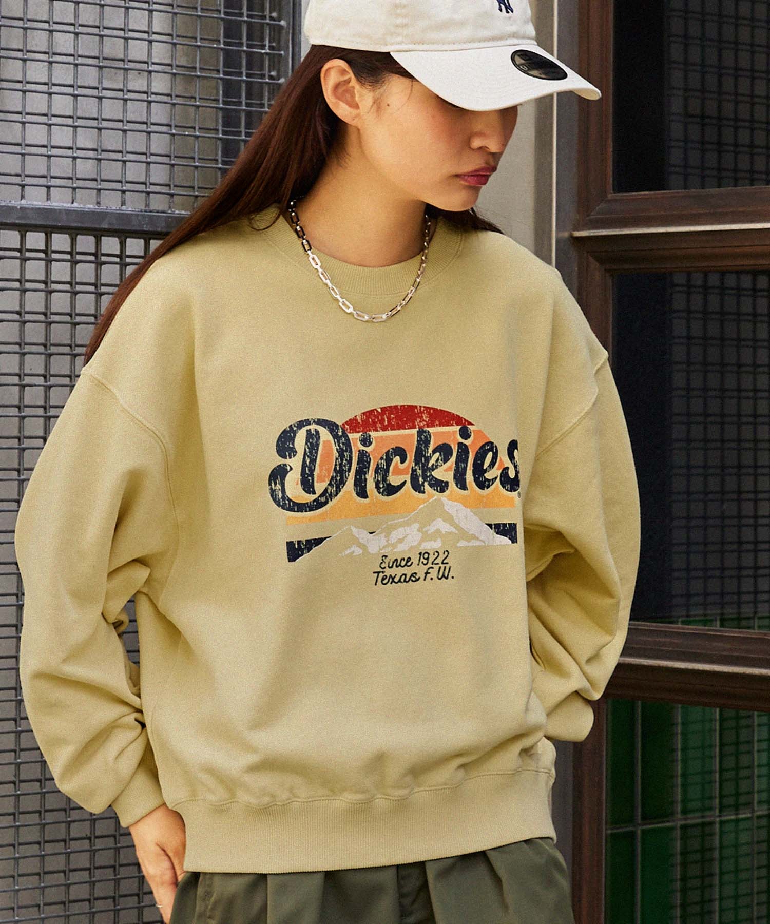 Dickies/ディッキーズ バックプリント/前面プリント 裏毛