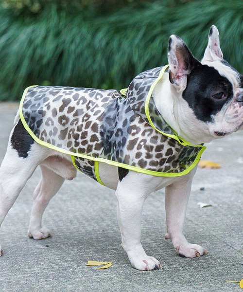 SVECレオパード 総柄レインウェア 無料サンプルOK 犬服 ペット 期間限定キャンペーン ドッグウェア