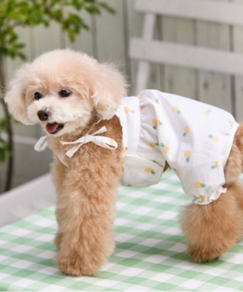 犬と生活犬と生活 いぬとせいかつ パイナップルパフパンツ ドッグウェア あなたにおすすめの商品 犬服 2021年新作