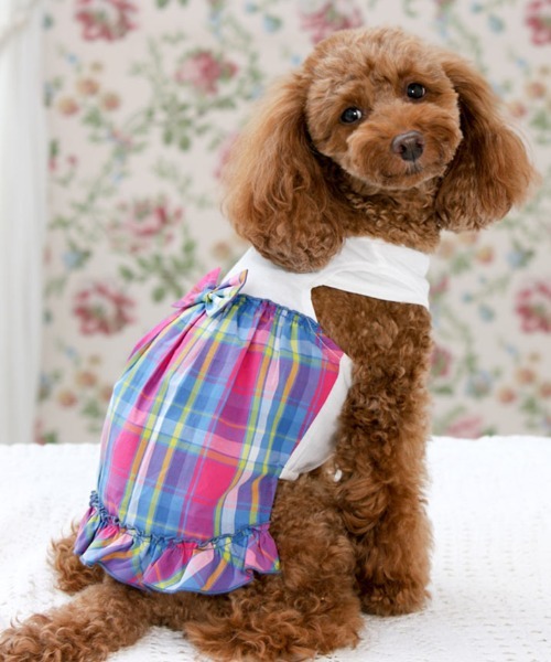 犬と生活 いぬとせいかつ リボンチェックワンピースクール 犬服 ドッグウェア Diskominfo