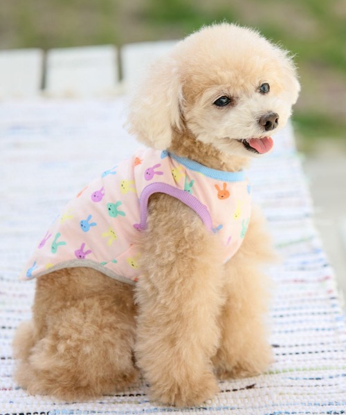 犬と生活 いぬとせいかつ うさタンク ドッグウェア 犬服 人気の春夏