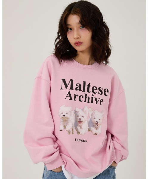 A'GEM/9 × .kom 『WaiKei/ワイケイ』 Maltese archive sweatshirts