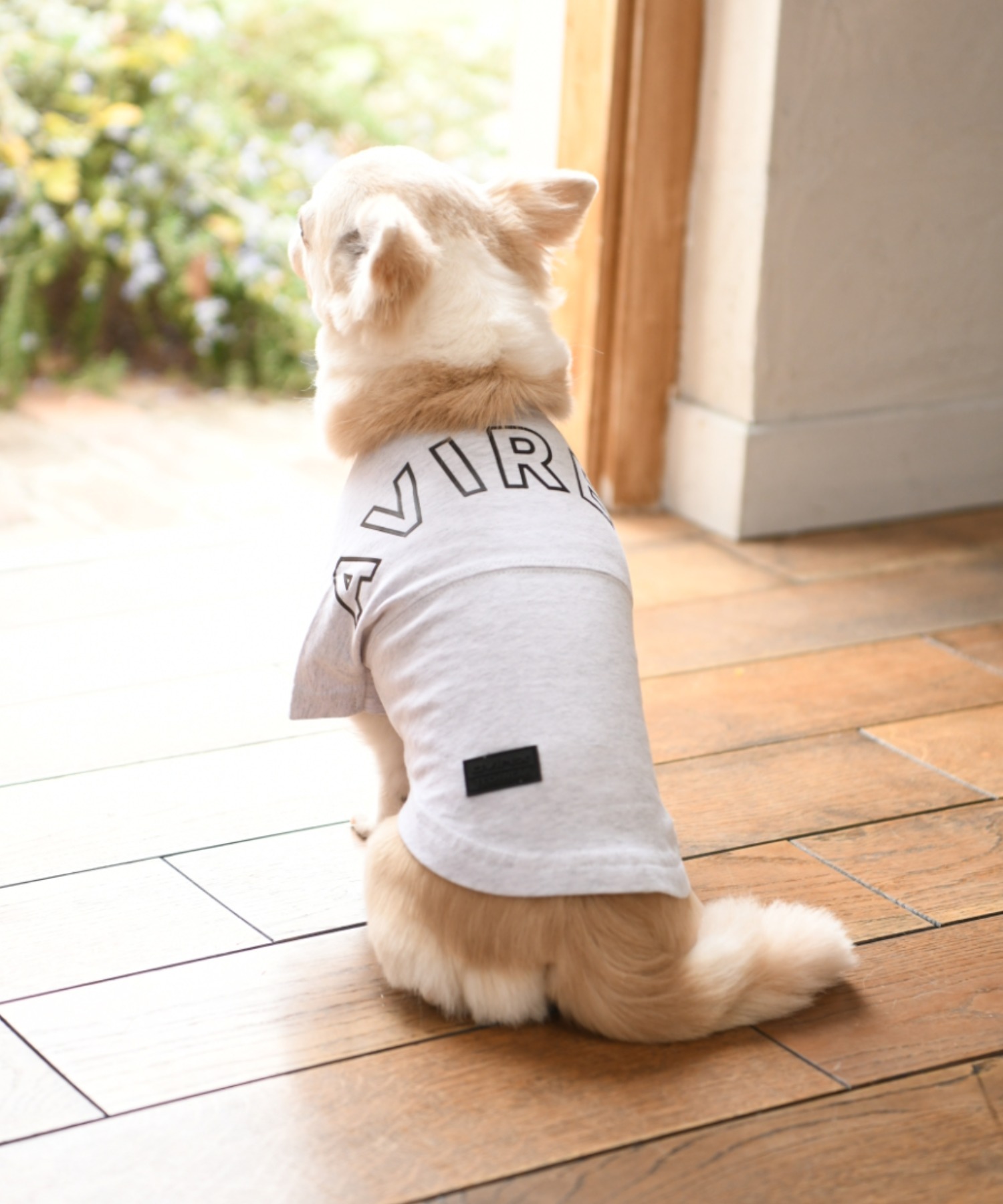 AVIREXAVIREX アヴィレックス ビッグロゴTシャツ SALE 92%OFF 犬服 ドッグウェア 日本に