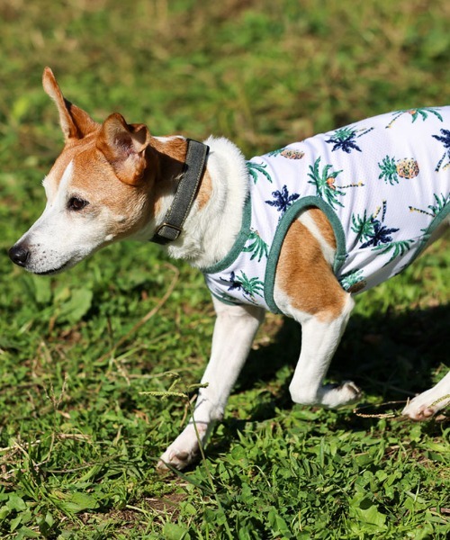 犬と生活 当季大流行 いぬとせいかつ バグガードアロハタンク 犬服 ドッグウェア