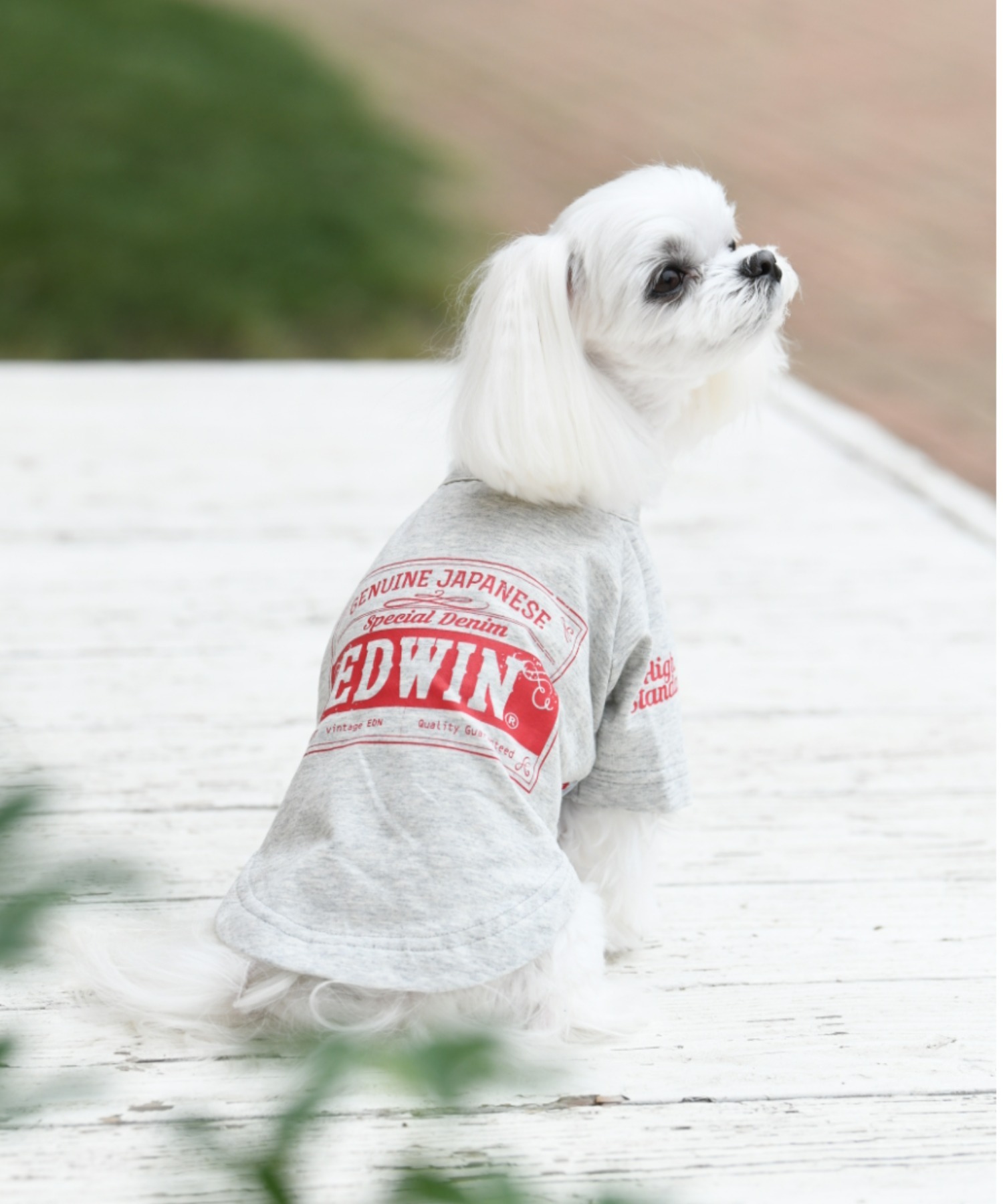 EDWINEDWIN エドウィン ロゴTシャツ お買い得モデル 最も 犬服 ドッグウェア