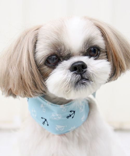 犬と生活 いぬとせいかつ クールネックバンドｅｘ ソフト保冷剤入り 犬