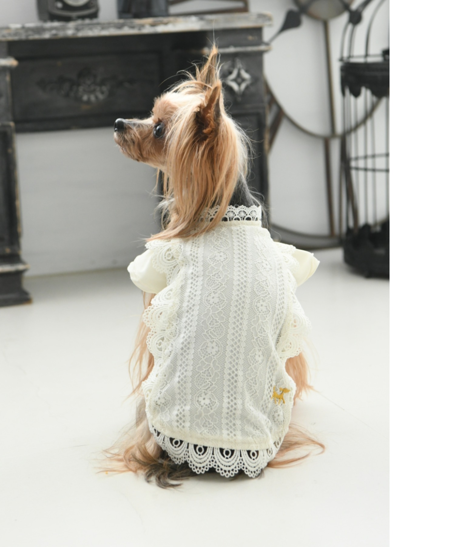 Rope Picnic ロペピクニック レースラインブラウス 犬服 ドッグウェア Himachaldastak Com
