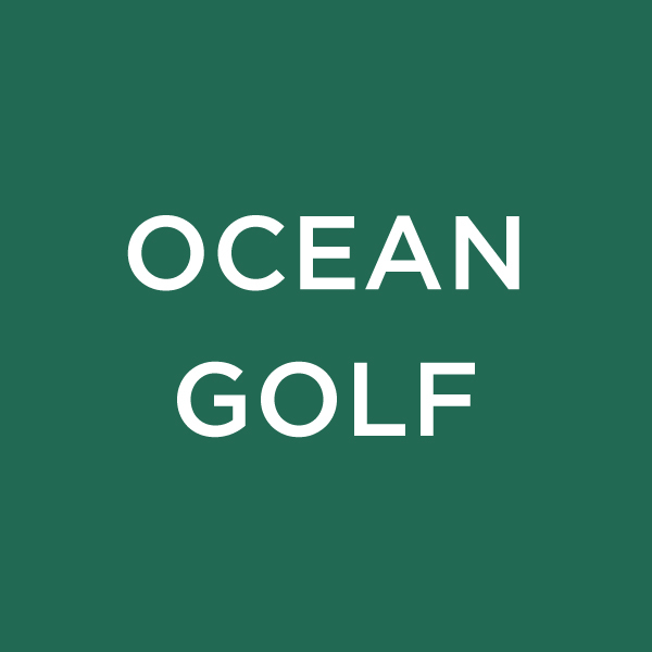 �I�[�V�����S���t