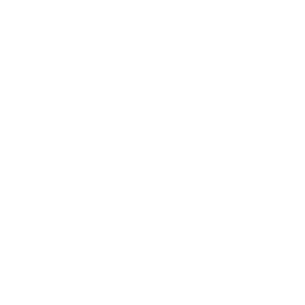 ���]�� �}���W�F�� �t���O�����X